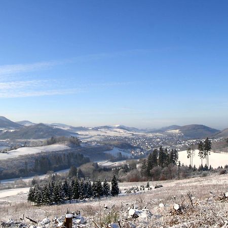 Waldhotel Schinkenwirt Олсберг Екстериор снимка