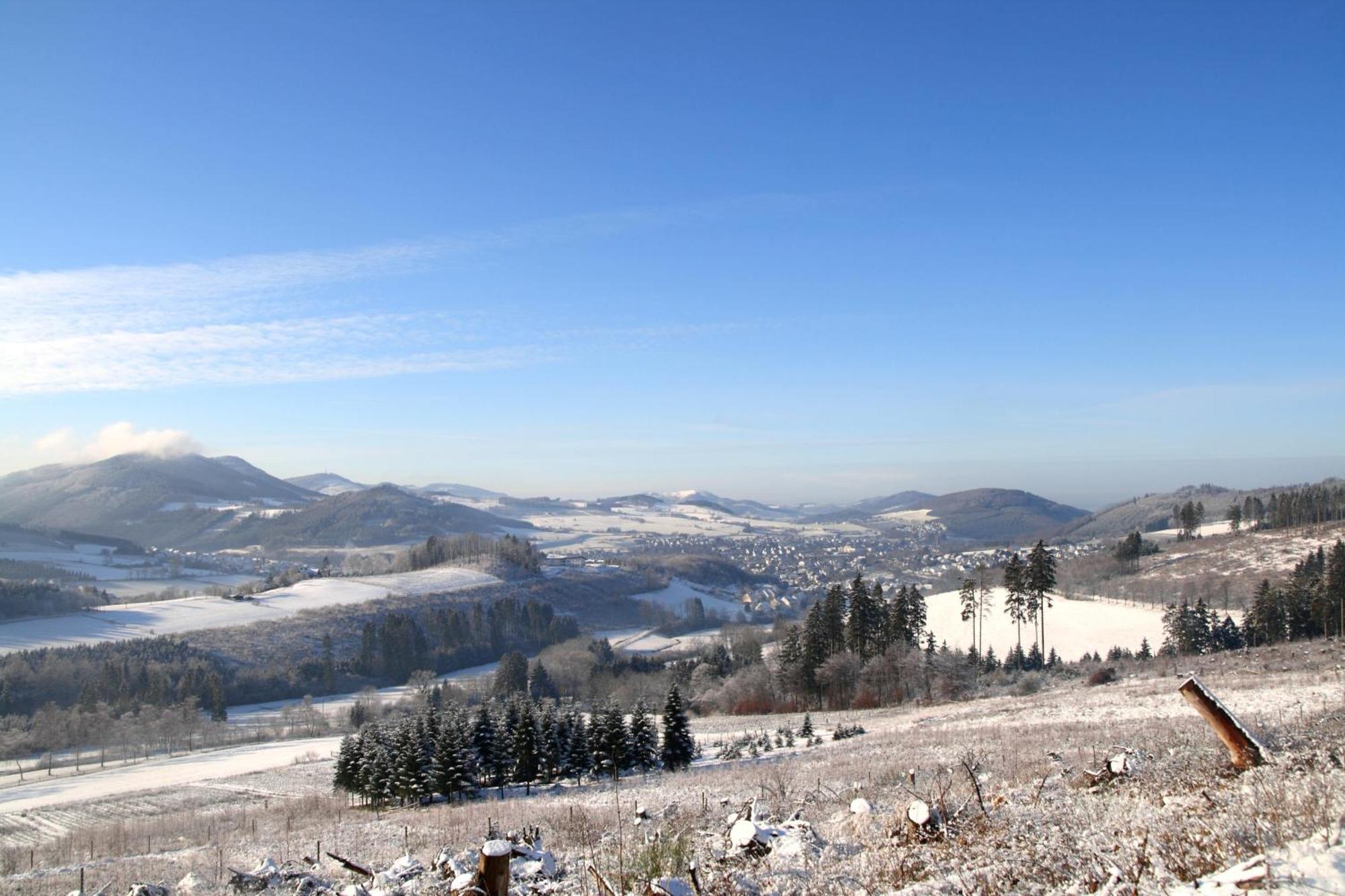Waldhotel Schinkenwirt Олсберг Екстериор снимка