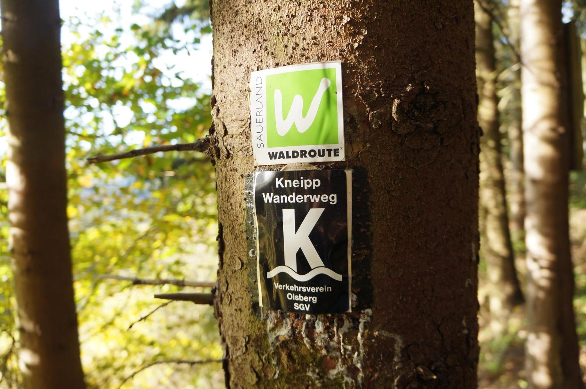 Waldhotel Schinkenwirt Олсберг Екстериор снимка