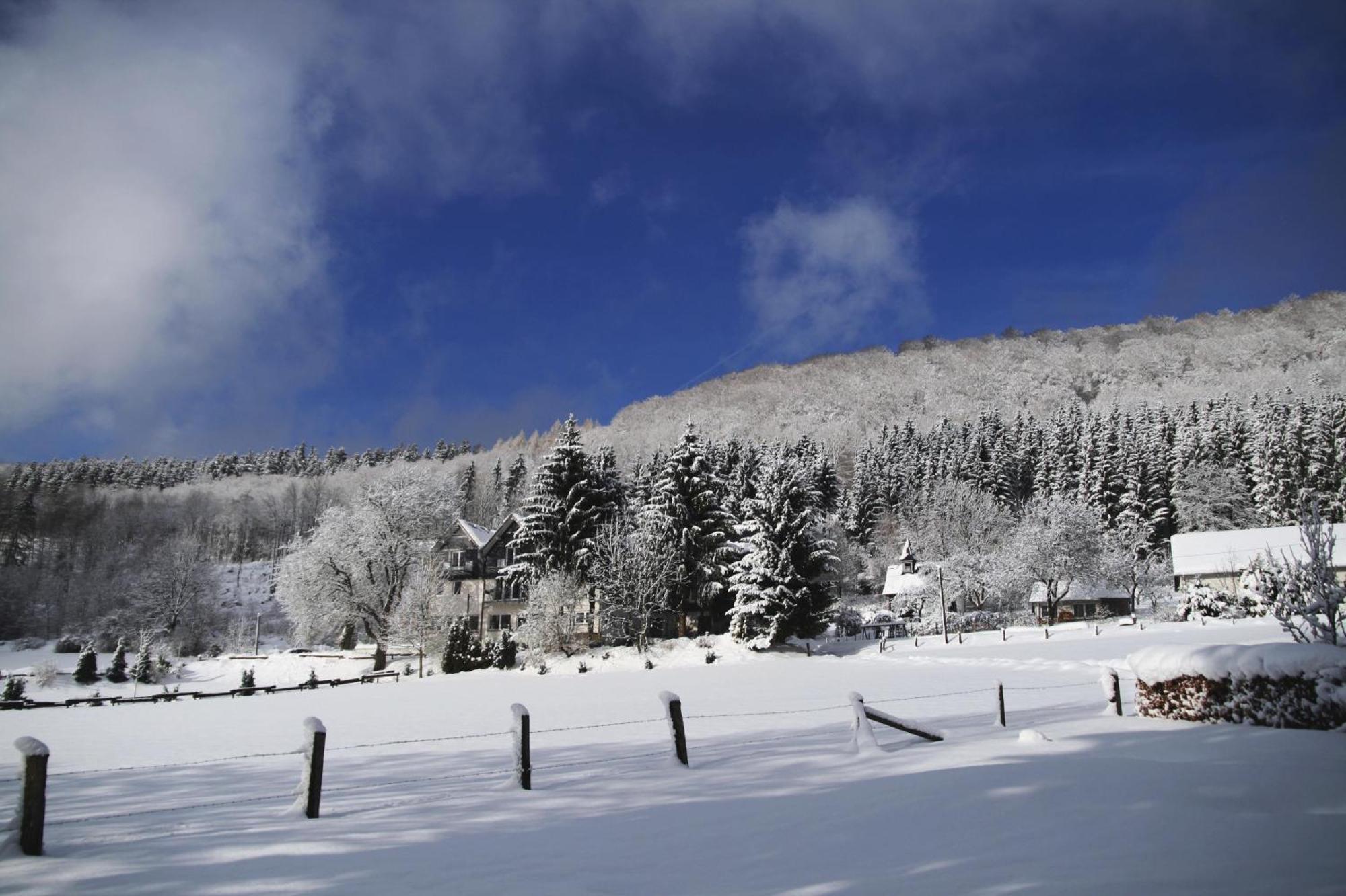 Waldhotel Schinkenwirt Олсберг Екстериор снимка