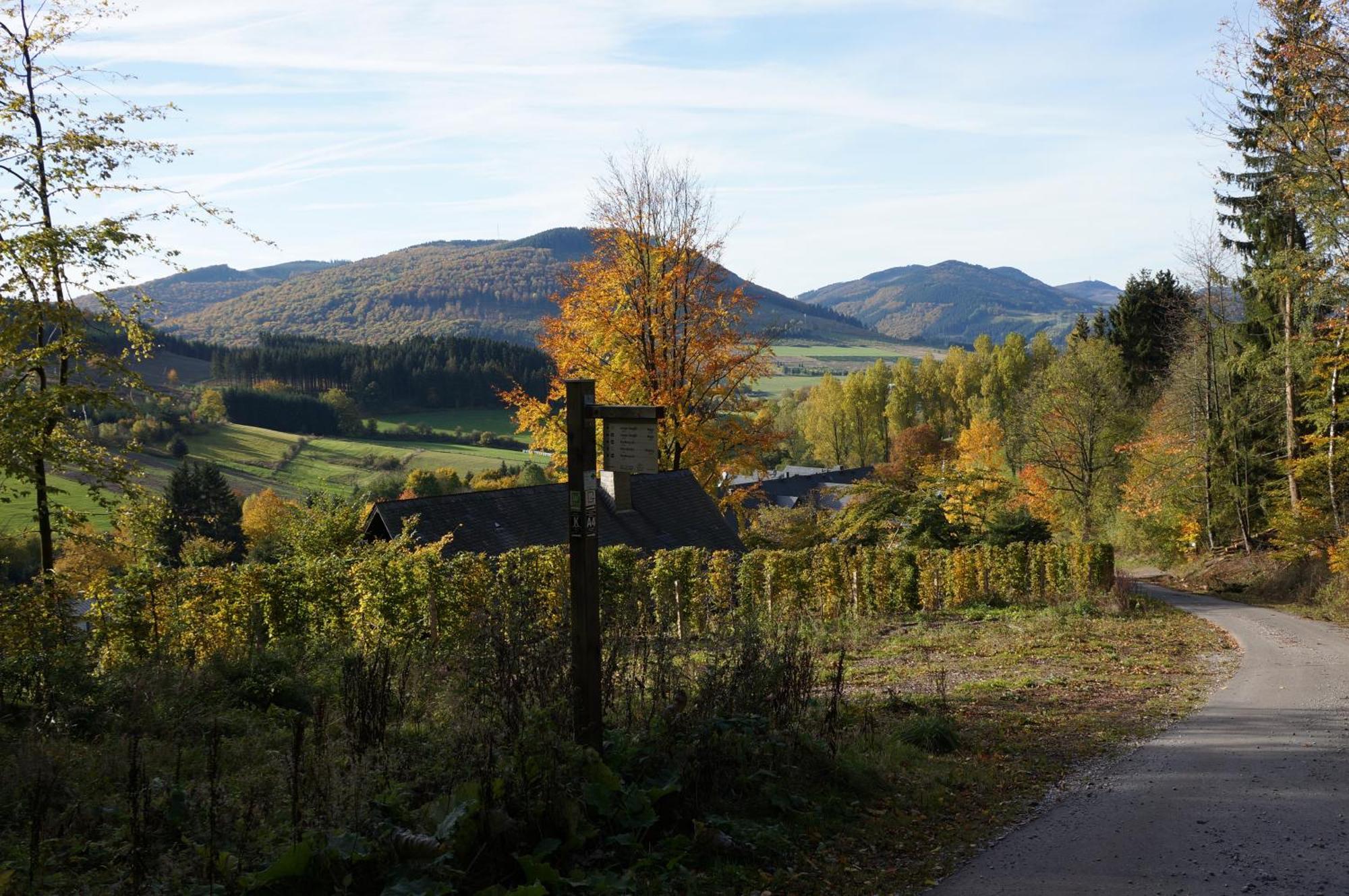 Waldhotel Schinkenwirt Олсберг Екстериор снимка